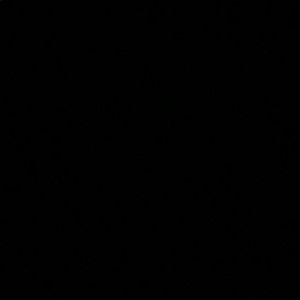 Meet your Posher, Gianna